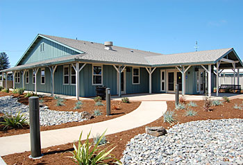Live Oak Shelter
