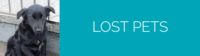 LostPets Button2 200x56 