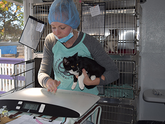 Veterinary Care Santa Cruz County Animal Shelter