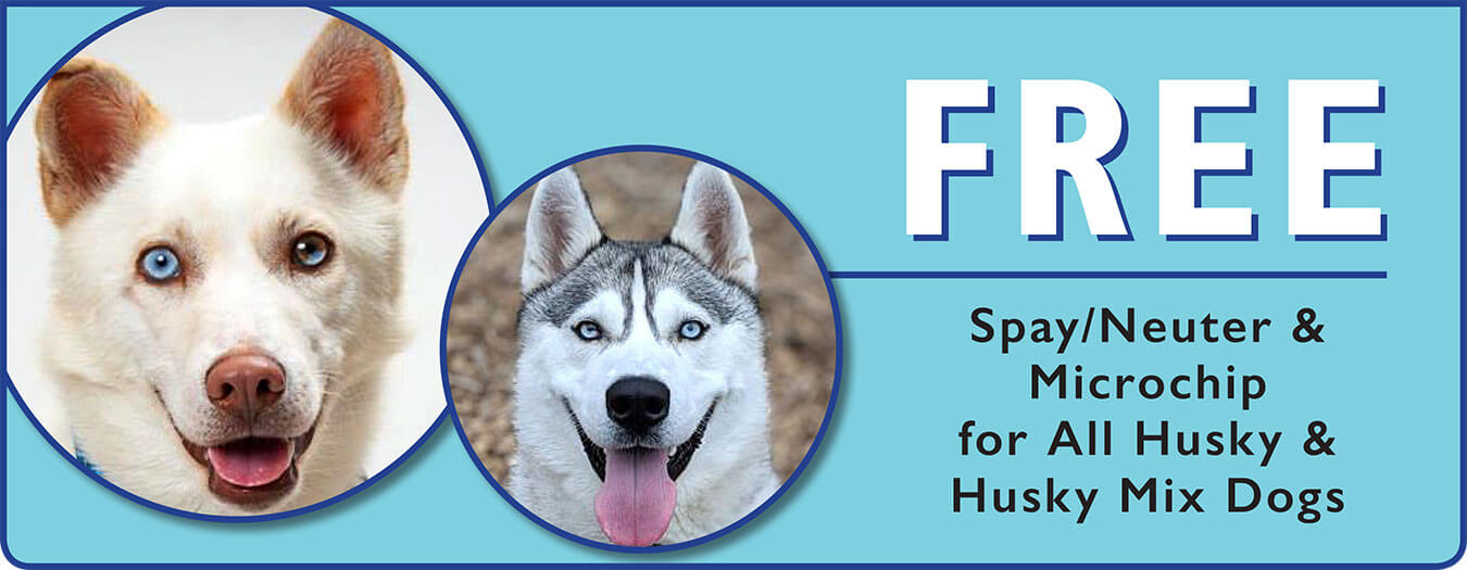 Santa Cruz County Animal Shelter Helping Santa Cruz County Animals In   Husky Banner2T 