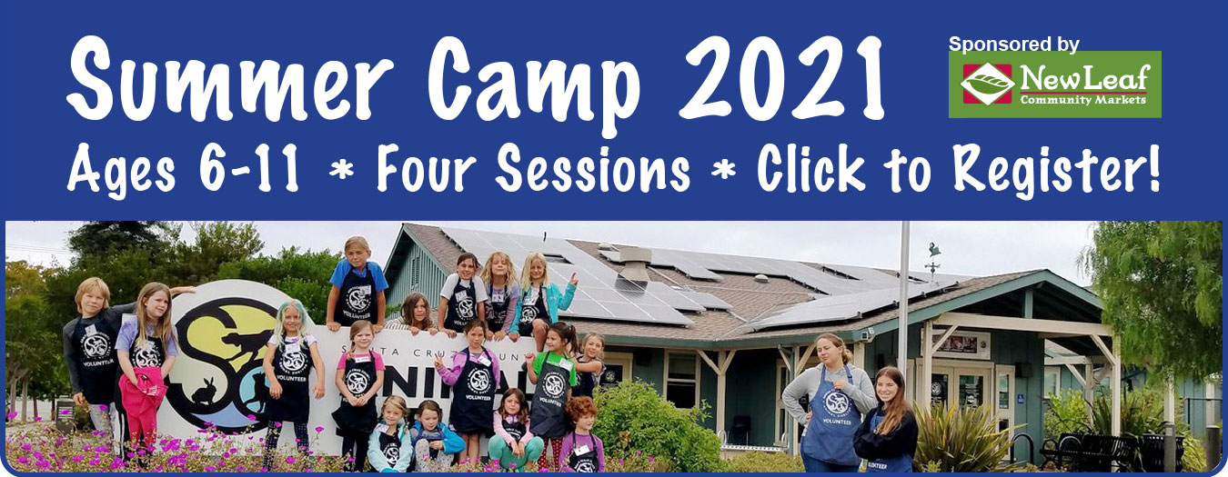 Summer Camp WebSlide V1 